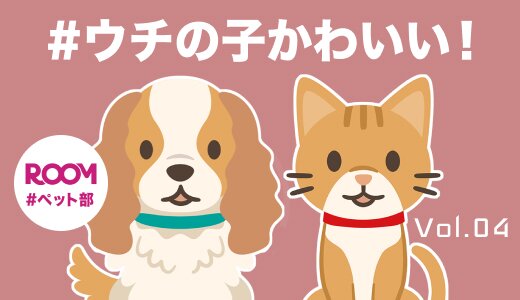 #ウチの子かわいい！ROOM#ペット部