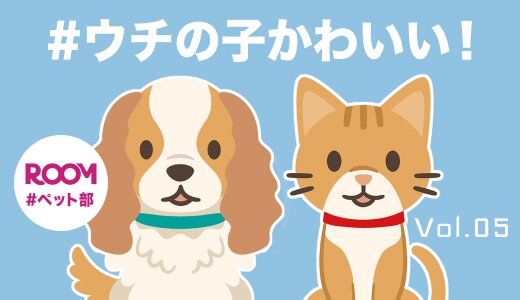 ROOMペット部#ウチの子かわいい！