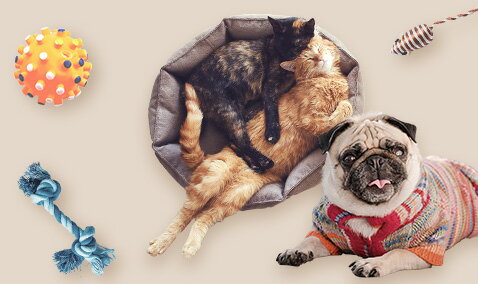 楽天市場 季節のくらしフェア21 ペットウェア ペットグッズ