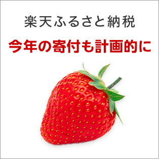 楽天ふるさと納税TOP