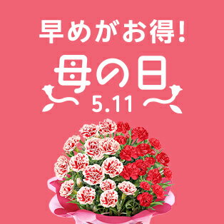 母の日プレ