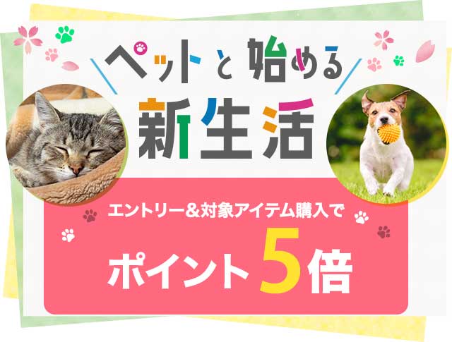 3周年記念イベントが 再No.8 ライオン ペット 犬 猫 ウェア 服 i9tmg