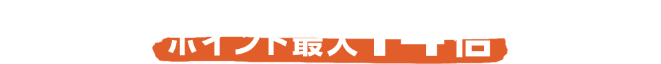 ポイント最大14倍