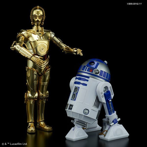 1/12 C-3PO ＆ R2-D2