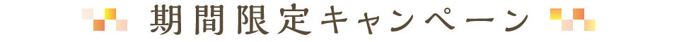 期間限定キャンペーン