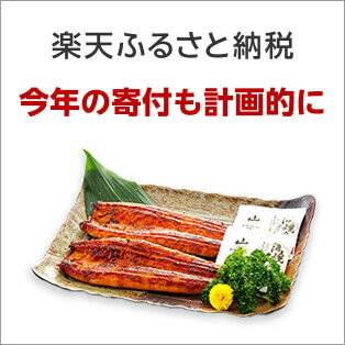 楽天ふるさと納税