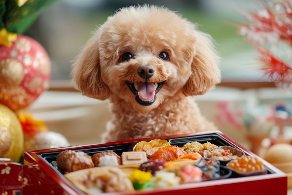 ペット用おせち