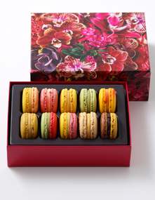 楽天限定・ネット限定など