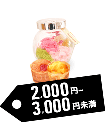 予算別で探す：予算2,000円～4,000円未満