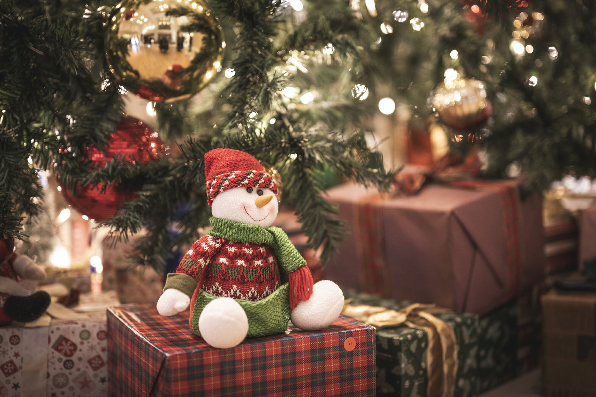 楽天市場】クリスマス特集2024|クリスマスの意味とは!イブは何をする日?サンタや赤い実の由来なども解説