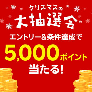 エントリー＆対象ショップでの4,500円以上のお買い物で5,000ポイント当たる！クリスマスの大抽選会