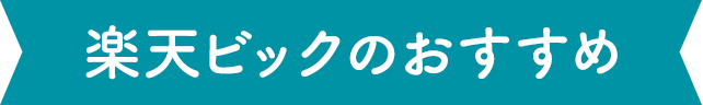 楽天ビックのおすすめ