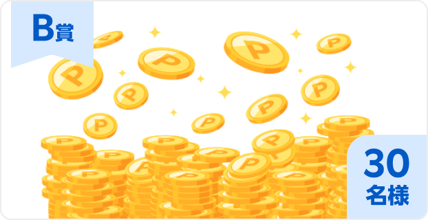 B賞 30名様