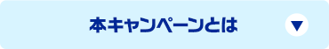 本キャンペーンとは