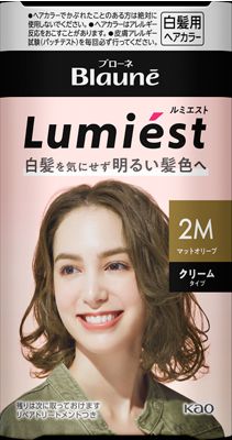 【10個セット】花王ブローネ　ルミエスト 白髪染め 1B 2B 1M 8b39ccfd657cbc1f2c56a9a09b4546