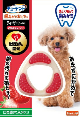 コヨーテの犬歯　50本セット（Sサイズ） 楽天市場】住商アグロインターナショナル チューデント 歯みがき