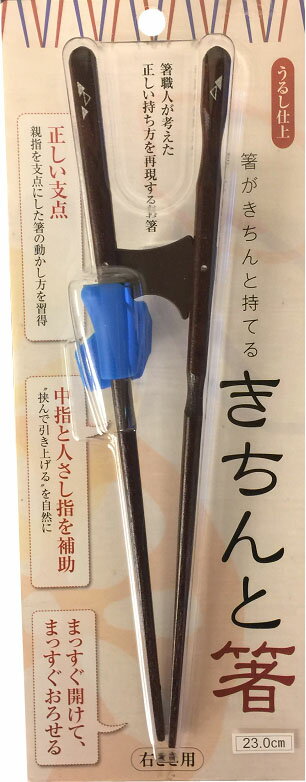 きちんと箸 右用 23cm