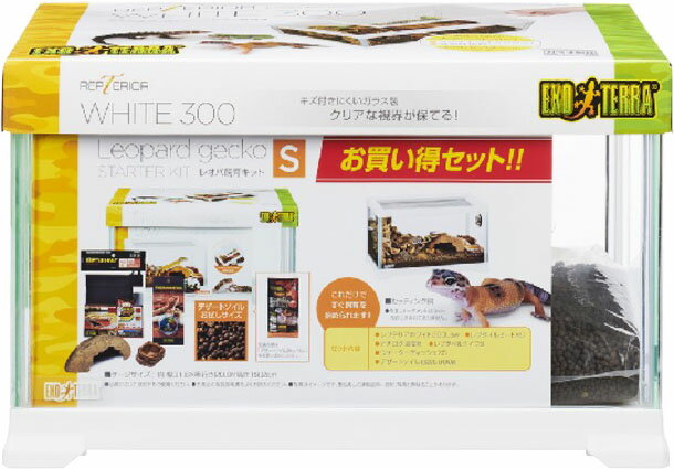 引き取り限定 ジェックス フトアゴヒゲトカゲ 飼育セット 引き取りに来れる方 Amazon | エキゾテラ GEX EXOTERRA フトアゴヒゲトカゲ&リクガメ