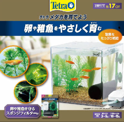 楽天市場】ジェックス GEX グラステリアサイレント900スリム | 価格