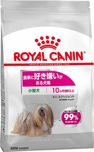 CCN ミニ エクシジェント 2kg/6