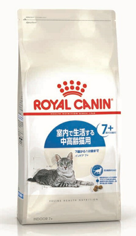 FHN インドア7+ 400g/12