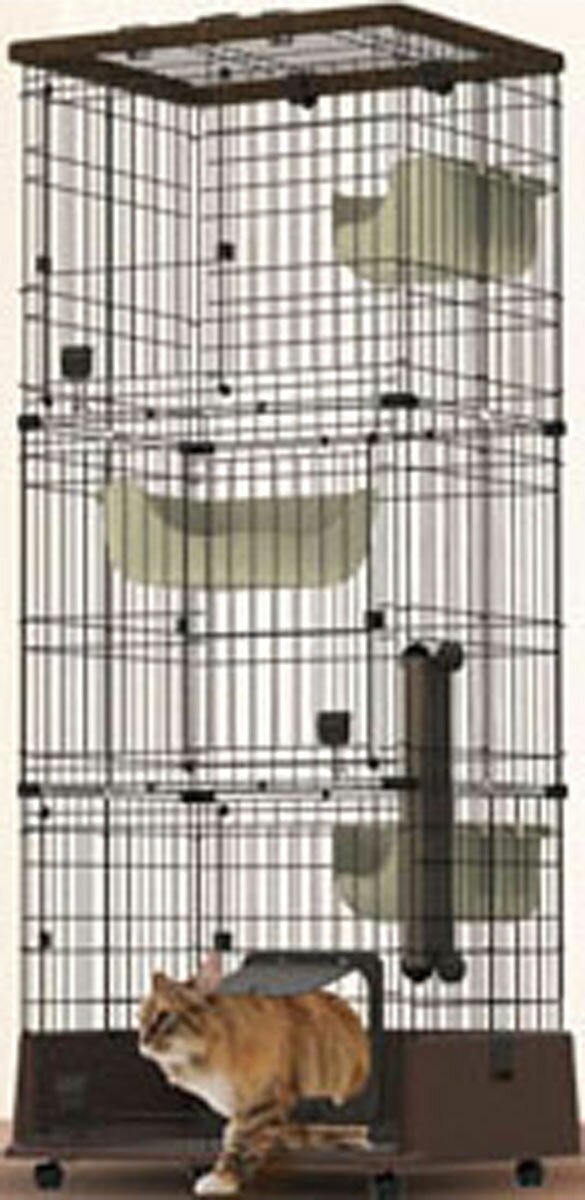 楽天市場】ペティオ necoco 仔猫からのしつけにもぴったりなキャット