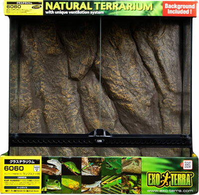 楽天市場】ジェックス GEX グラステラリウム6045 PT2610 | 価格比較