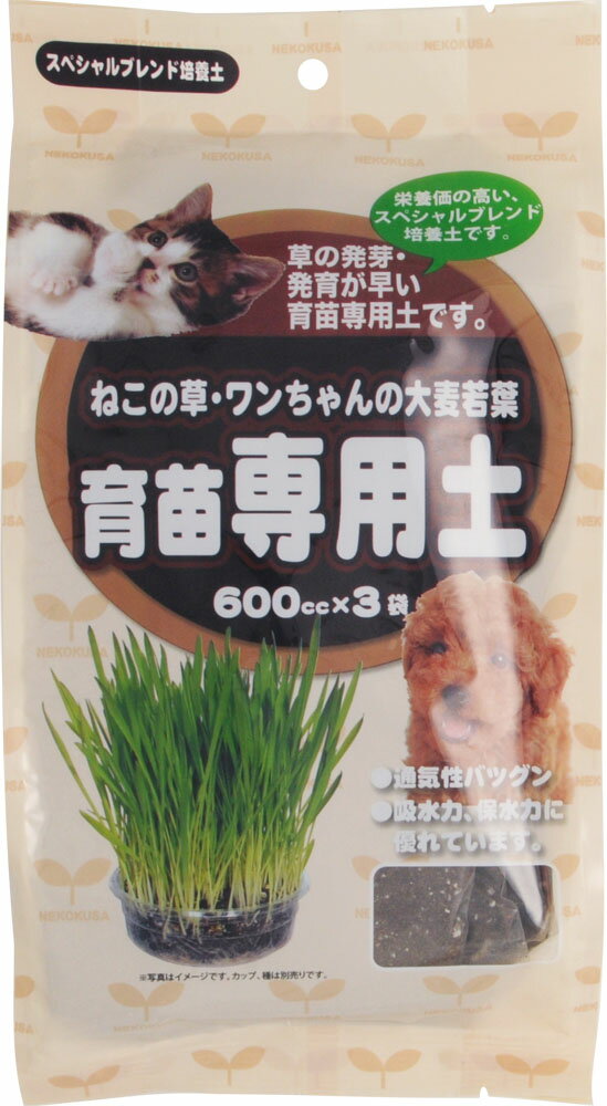 猫ちゃんさん専用商品 あまえんぼうねこちゃん：ホワイト