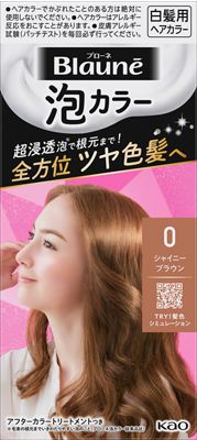 楽天市場】花王 ブローネ 泡カラー 1N サンドベージュ 108ml | 価格