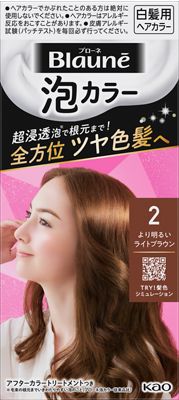 楽天市場】花王 ブローネ 泡カラー 1N サンドベージュ 108ml | 価格