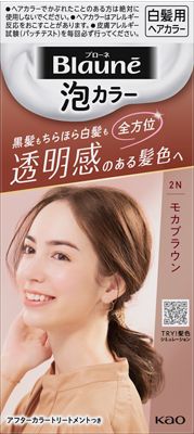 楽天市場】花王 ブローネ 泡カラー 1N サンドベージュ 108ml | 価格