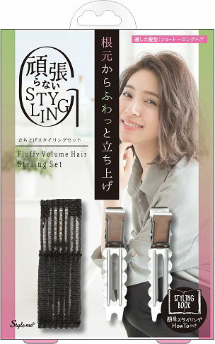 楽天市場】ティーアンドワイ ラピーチ スタイリングフォーム Nウェーブ