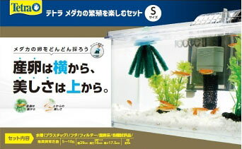 楽天市場】ジェックス GEX グラステリアサイレント900スリム | 価格