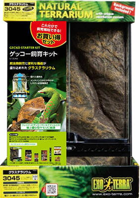 楽天市場】ジェックス GEX フトアゴヒゲトカゲ&リクガメ飼育