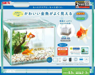 楽天市場】ジェックス GEX グラステリアサイレント900スリム | 価格