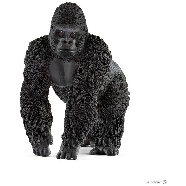 楽天市場】ゴリラ （メス） | 価格比較 - 商品価格ナビ