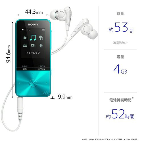 SONY ウォークマン Sシリーズ NW-S313(L)