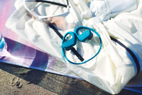 SONY  ウォークマン Wシリーズ NW-WS623(L)