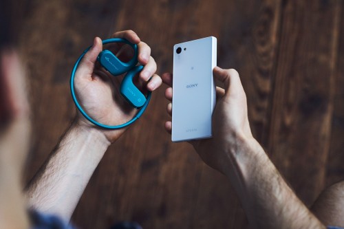 SONY  ウォークマン Wシリーズ NW-WS623(L)