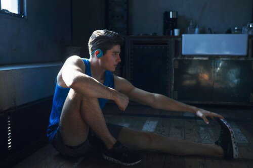 SONY  ウォークマン Wシリーズ NW-WS623(L)