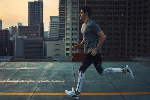 SONY  ウォークマン Wシリーズ NW-WS623(L)