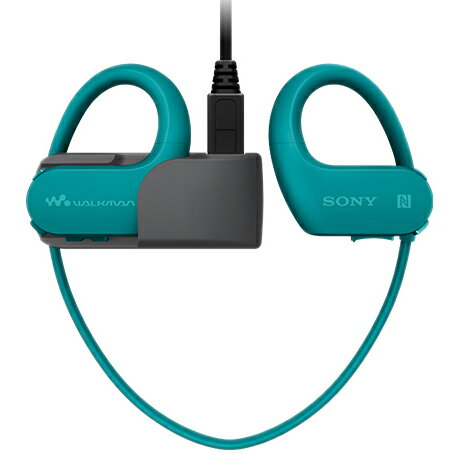 SONY  ウォークマン Wシリーズ NW-WS623(L)