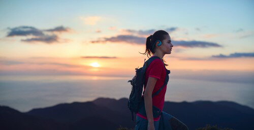 SONY  ウォークマン Wシリーズ NW-WS623(L)