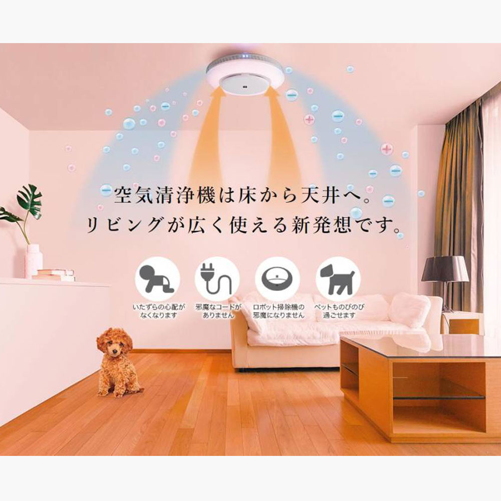 空気洗浄機ライト　SHARP 楽天市場】SHARP FU-NC01 小型 空気清浄機 プラズマクラスター