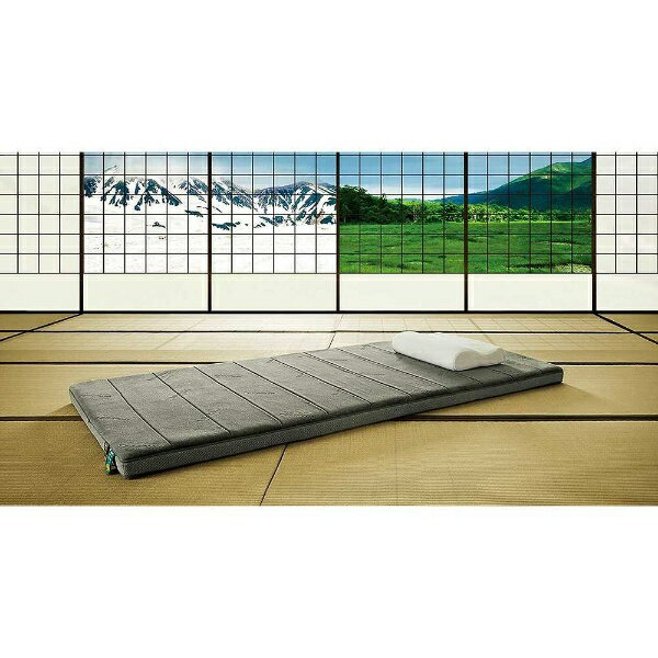 楽天市場】テンピュール New Futon-1 シングル | 価格比較