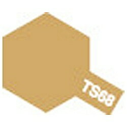 ＴＳ−６８　木甲板色