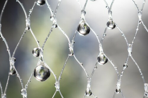 OLYMPUS  交換レンズ M ED30F3.5 MACRO