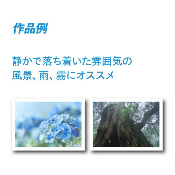 PICTORICO スムーズフォトペーパー PPZ200-A4/20