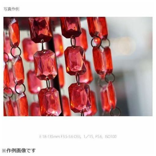 SONY  デジタル一眼カメラ　Eマウント用レンズ E 18-135F3.5-5.6 OSS