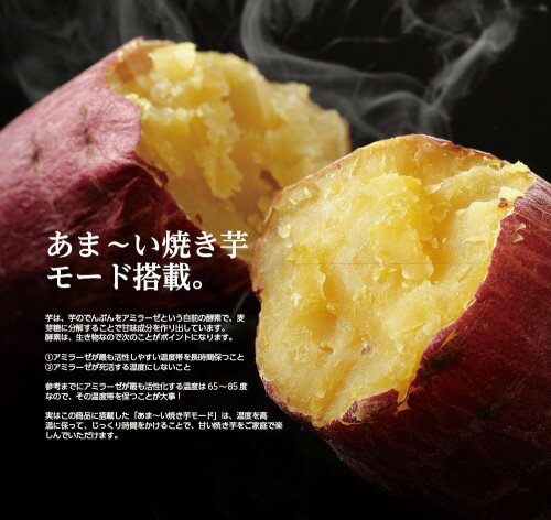 楽天市場】ドウシシャ DOSHISHA CORPORATION コンパクトノンオイル
